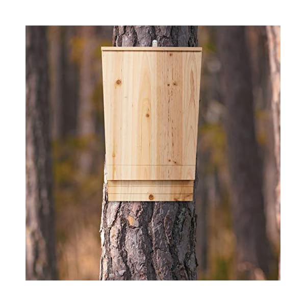 Relaxdays Fledermauskasten XL, großer Unterschlupf für Fledermäuse, aus unbehandeltem Holz, HxBxT: 55x35x7,5 cm, natur – Bild 7