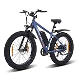 SPATIAL Bicicleta Eléctrica Montaña de 26" con Neumáticos Anchos de 4.0" y Batería de 48 V 13Ah y 624 WH (Blau)