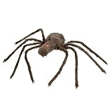 Mark Roberts 2020 Collection Animated Spider - Figura decorativa (41 x 3 pulgadas)