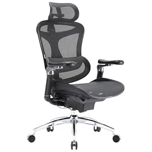 SIHOO Doro C300 Pro Ergonomic Offic...