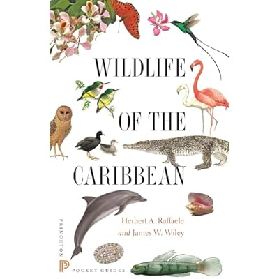 Wildlife of the Caribbean