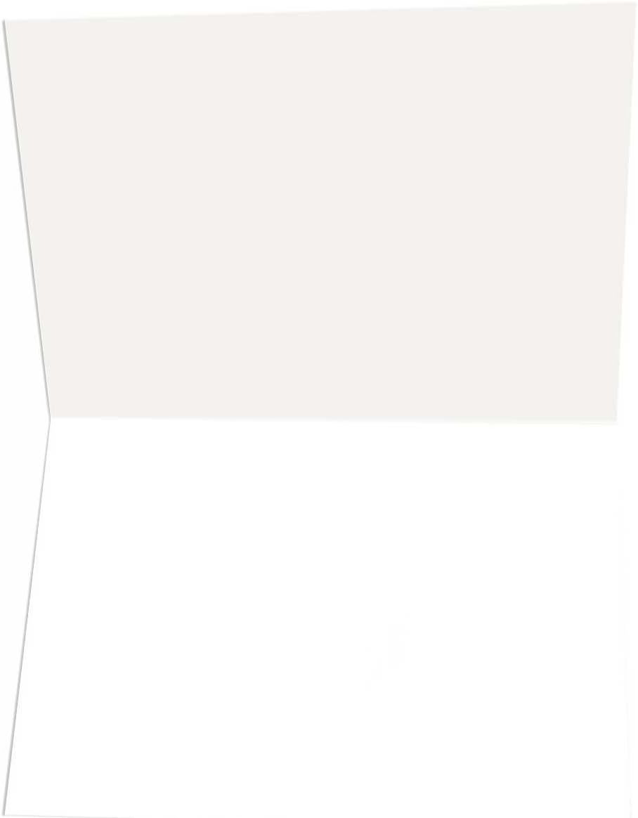 Stonehouse Collection Beach Sunset Christmas Cards with matching Thank You Note Cards