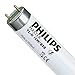 Produktbild Leuchtstofflampe TL-D 15 Watt 830 - Philips 15W