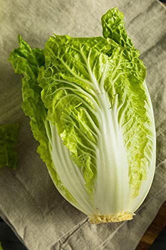 ™ZX-Chinese Cabbage Vegetable Seeds for Home Gardening F1 Hybrid