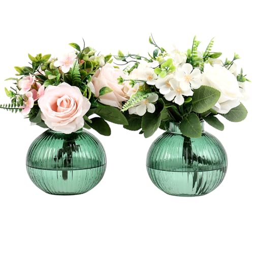 YANWE1 Round Glass Vases, Set of 2 Small Vases for