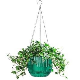 Melphoe 1 Pack Self Watering...