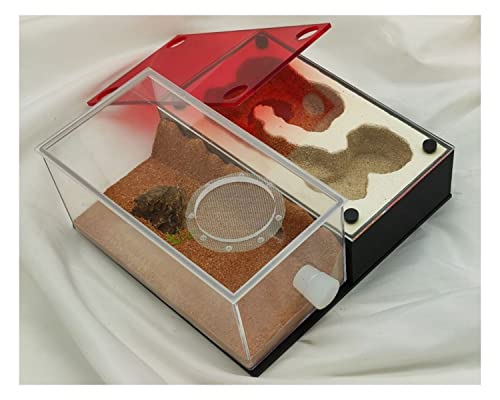 YKLL Acrylic Ant Nest Box 3D Flat Ant Farm Ant Housing Kit, Gypsum Formicarium House Insect Ant Feed Case Habitat Workshop Birthday Present Gift (Color : A)
