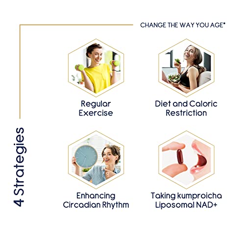 Liposomal NAD+ 500 mg con TMG 250 mg cápsulas blandas, suplemento NAD+ actual para la reparación celular y el metabolismo energético (60 Unidad (Paquete de 1))