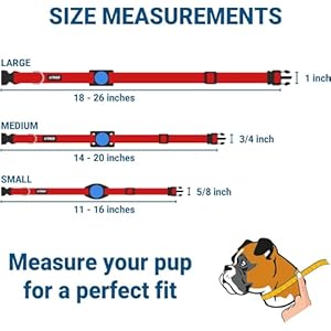   GoTags-Personalized-Dog-Collar-with-Custom-Engraved-AirTag-Adjustable-Dog-Collar-Pet-ID-Tag-Silent-No-Noise-Dog-Tag-for-Large-Medium-or-Small-Dogs-Black-Small