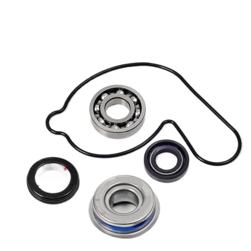 Roulement pompe à eau TRX 450R entretien circuit refroidissement