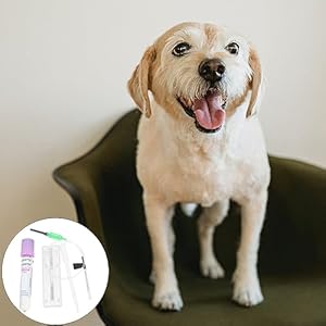 Ipetboom Dog Pregnancy Test Kit at Home, Fast Accurate Detection Pregnant Test Paper Strip for Dog, Cat Veterina Disposable Pet Clinic Equipment – Instructions are on The details page