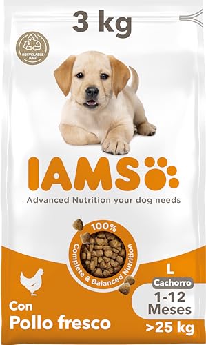 IAMS Alimento seco para cachorros de razas grandes de 1-12 meses con pollo fresco, 3 kg