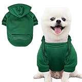 Jecikelon Pet Dog Cold Weather Coat with Pocket Winter Dog Hoodie Warm Puppy Clothes for Small Dogs Chihuahua Clothing (Green, Small)