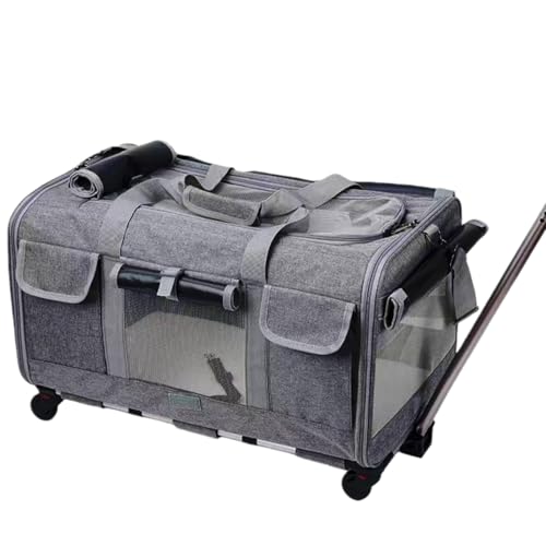 Kizare �L �y�b�g �L�����[�J�[�g �܂肽���� �L�����[�o�b�O ���@�\ ��� ���ɂ��� �y�� �֗� ��e�� ���O���\ ���[�� �Ɨ������L�����[�o�X�P�b�g �􂦂� �É��L���X�^�[ ���s�A���o�����A�����a�@�ւ̒ʉ@�A���̎U���A�A�E�g�h�A�A�N�e�B�r�e