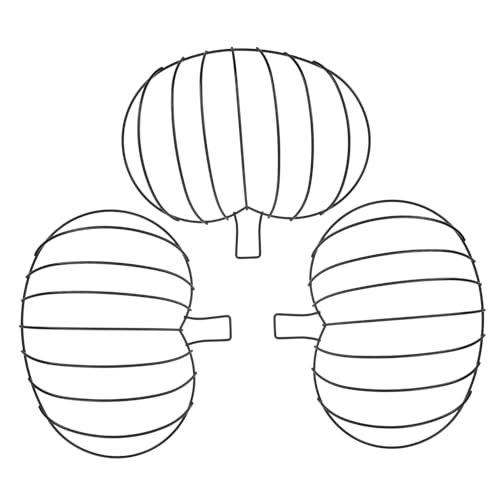 Formes de fil métallique citrouille RLKHXBS pour réussir facilement vos couronnes d'automne