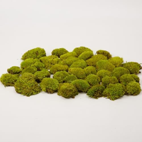 Preserved Pole Moss Pillow Bun Cushion Natural Green