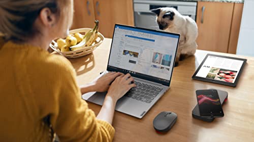 LENOVO GY51C21211, Go - Mouse wireless multi-dispositivo, colore: Grigio tempesta - Mouse gaming - Immagine 4