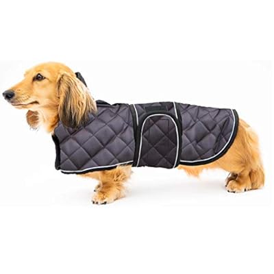 weiner dog clothing