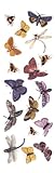 Fuseworks Fuse Art Decals, Bug-A-Boos
