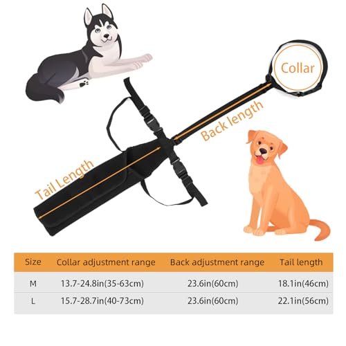 Protecteur de queue de chien OHCOZZY noir taille M pour plaies canines
