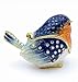 Robin Bird Jewelry Trinket Boxes Hinged Ring Box.Collectible Bird Figurines Home Decor Gifts for Women.Necklace Rings Earrings Organizer.