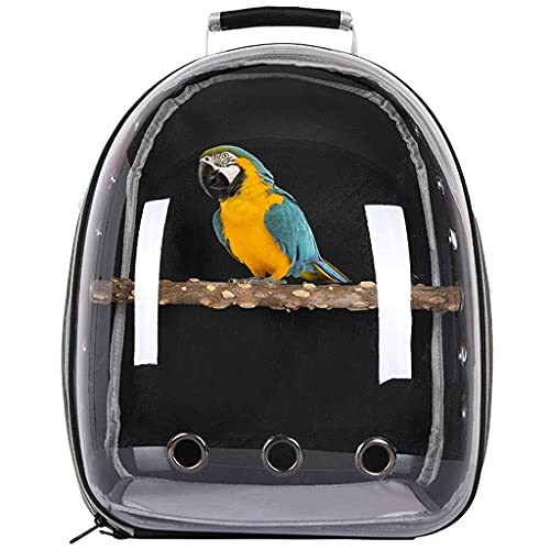 Pet Parrot Carrier Bird Travel Bag with Standing Perch, Space Capsule Transparent Backpack Breathable 360° Sightseeing (Black)