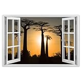  Stickers muraux déco photo 90x60cm Baobabs de Madagascar N° H10058M_WANS1L