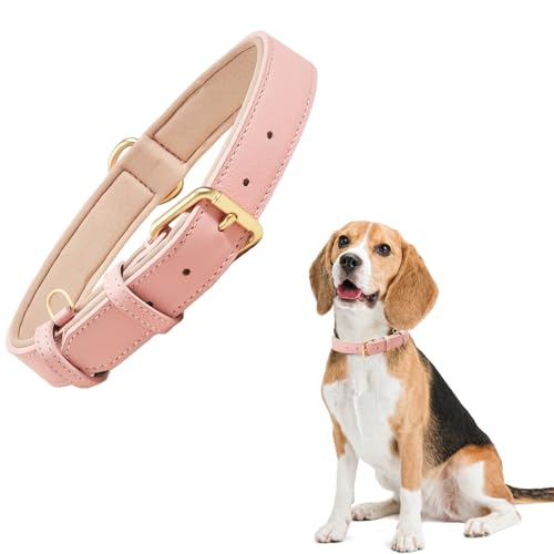 1 collare per cani in pelle con fibbia in metallo resistente, per cani di taglia piccola, media e grande, morbido, traspirante, regolabile, imbottito, per cuccioli, rosa (39-49 cm)