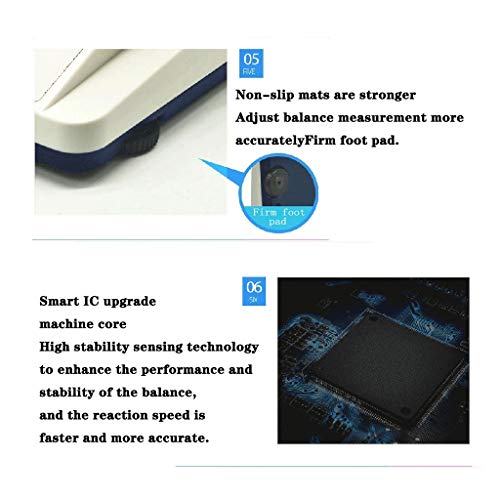 Bilancia analitica di precisione 0,001 g, Bilancia Digitale di precisione da Laboratorio, Elettronica scientifica, Display LCD con paravento (310 g/0,001 g) ()