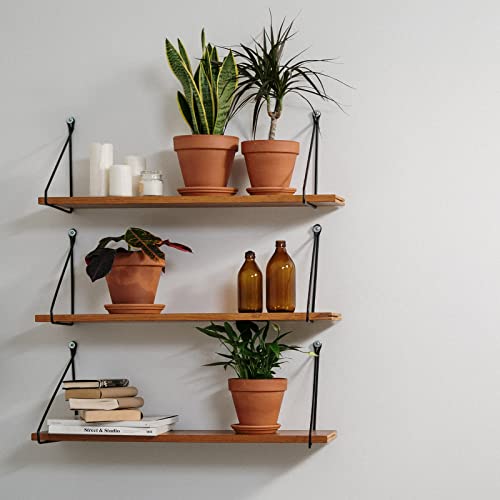 Ingofin Terracotta Pots Set With Saucer - 5/6/7 Inch Ceramic Clay Planters With Drainage Hole, Garden Flower Succulent Pots With Tray For Indoor Outdoor Plants, Set Of 3 #TOP7