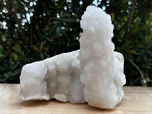 Image of GAF TREASURES Chalcedony & Crystal Quartz Stalactite 3-8 inch, Natural Quartz on Chalcedony Stalactite Specimen (2-3 lb)
