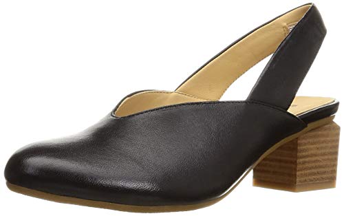 [T@T@] pvX 1000867 fB[X ubN 23.0 cm