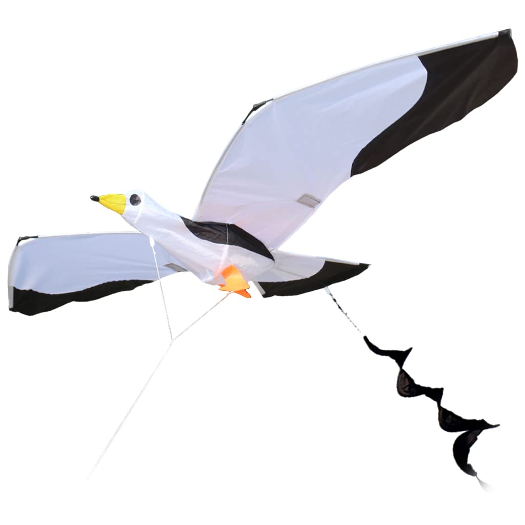 Lebendiger Möwen Drachen, Tier, Große Flügelspannweite, Einleiner Drachen für Outdoor Spiele, Flugspielzeug