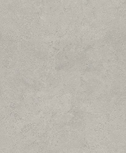 Rasch Factory V Collection 315141 Non-Woven Wallpaper Silver Metallic Plain Concrete Look Structure