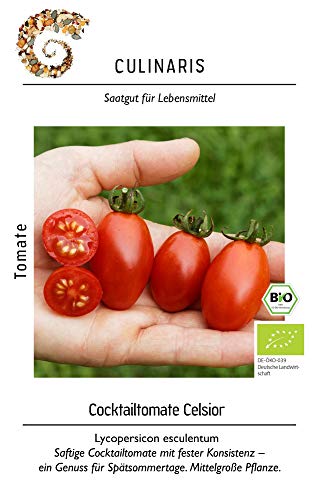 Culinaris 005 Cocktailtomate Celsior (Bio-Cocktailtomatensamen) Cover