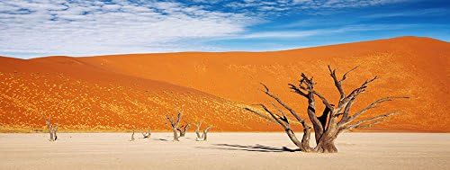BNS Reptile Habitat, Terrarium Background, Orange Desert with Tree, 18"x36" …