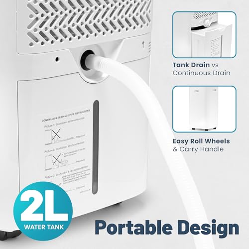 DSL 12L Electric Dehumidifier for Home - Bedroom Dehumidifier w/Digital Humidity Display, Sleep Mode, Laundry Drying, Drainage - Compact & Quiet, Energy-Efficient for Damp, Odour, Mould, Condensation - Image 4