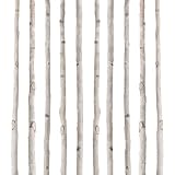 Fiwochic 10 Pcs White Birch Poles 4 ft 1-1.5 Inch Diameter Natural Wood Sticks Twigs for Crafts Branches Home Decoration Holiday DIY Creative Projects