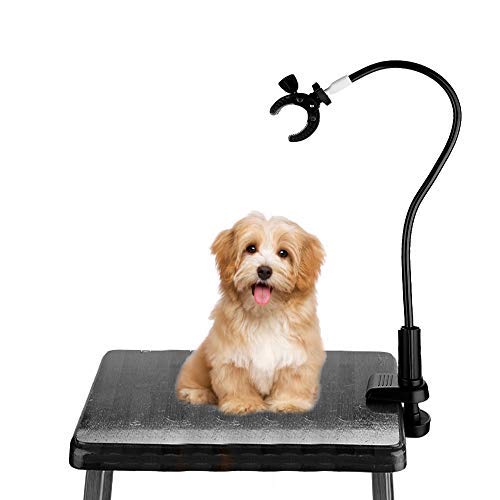 Pince Support Sèche-Animaux Mains Libres en Alliage d'Aluminium pour Table de Toilettage, Rotation 360° Ajustable, Fixation Sécurisée pour Sèche-Cheveux Chien et Chat, Idéale pour