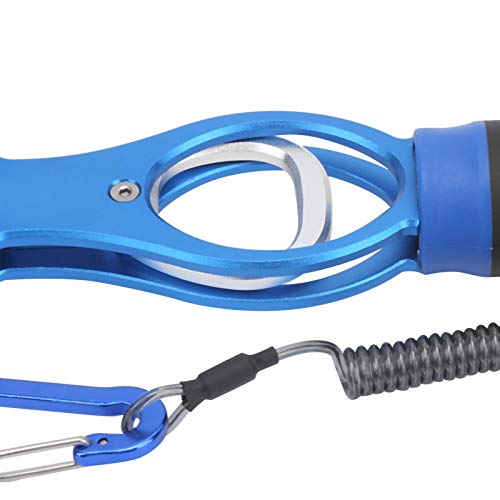 WNSC Pega de peixe pesando, peça única para pesca, lábio de pesca, pegador de peixe portátil de liga