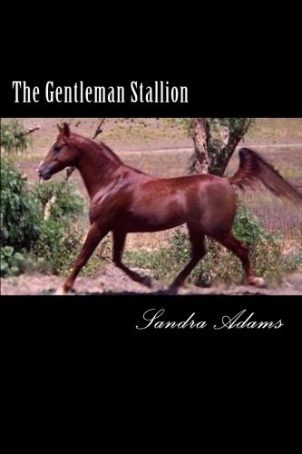 The Gentleman Stallion