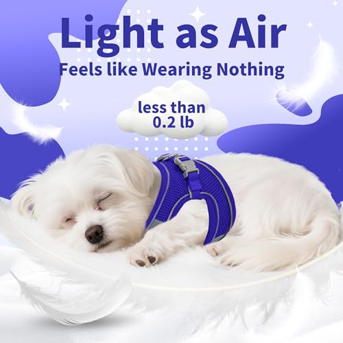 Image of AIITLE Small Harness for Puppy with A Leash - Dog Vest Harness with Super Breathable Mesh, Reflective No-Pull Pet Harness for Outdoor Walking, Running for Small Dogs, Cats Royal Blue XXS