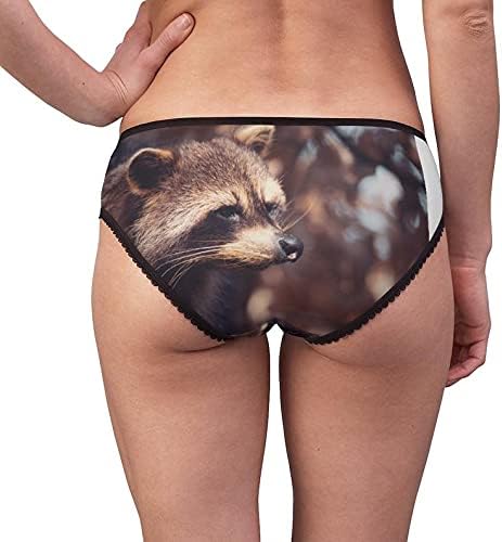 North American Raccoon Panties, North American Raccoon Underwear, Briefs, Cotton Briefs, Funny Underwear, Panties For Women