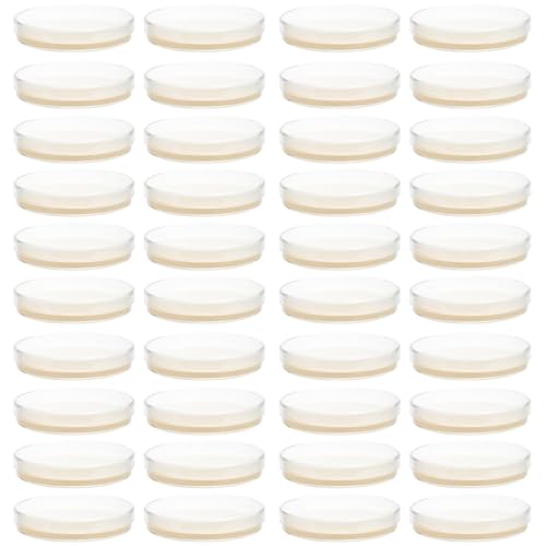 Plaques de gélose nutritive SOLUSTRE avec malt et 40 boîtes de Petri