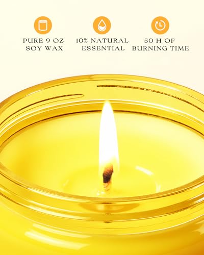 Image of AOOVOO 6 Pack Citrus Lemon Odor Eliminating Highly Fragranced Candle - Eliminates 95% of Pet, Smoke, Food, and Other Smells Quickly, Air Freshing Soy Candle