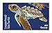 Protect Sea Turtles 2024 (Sheet of 18) Commemorative First-Class Mail Forever Postage Stamps