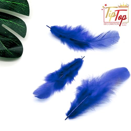 Image of TIPTOP DECORATION Natural Dyed Feathers 10 cm (80 Pieces) (Royal Blue)
