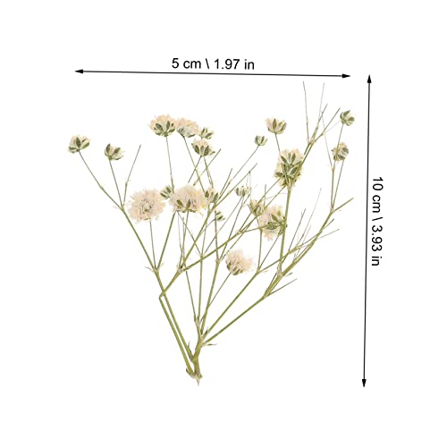 Kit de Ramo de Flores Secas para Decoración miniatura 5
