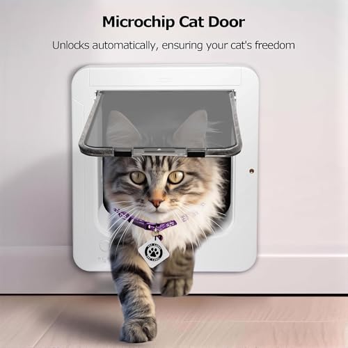 Chatière électronique intelligente avec télécommande pour sécuriser les nuits de votre chat