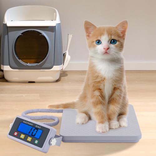 Báscula digital médica profesional 300kg con pantalla LCD miniatura 3